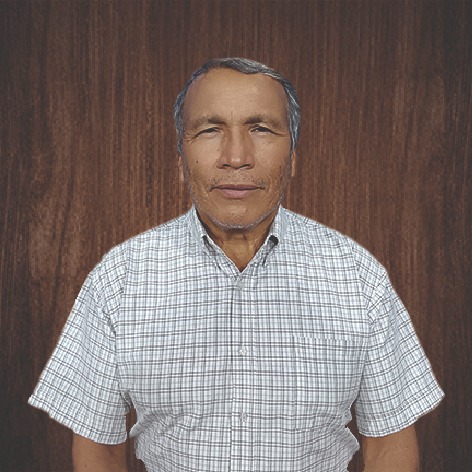 Mario Mendoza Lima